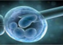 PPL autorisant la recherche sur l'embryon